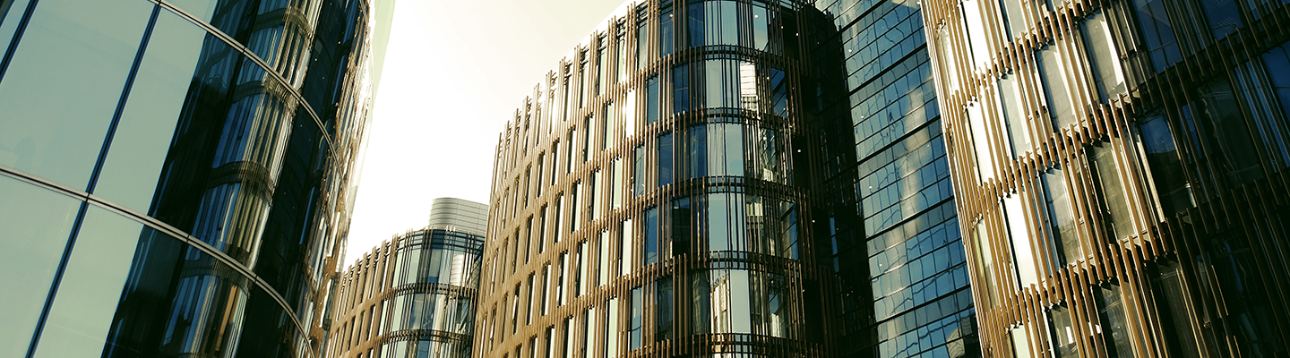 BDO Tax & Legal Newsletter / January 2026 No.1